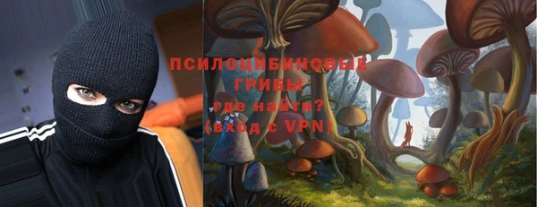 эйфоретик Бородино