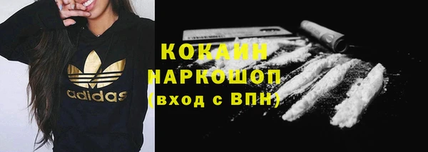 индика Бугульма