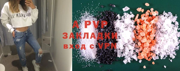 индика Бугульма