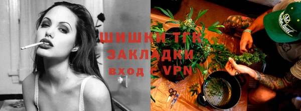 эйфоретик Бородино